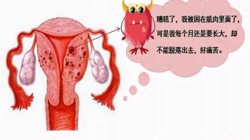 武汉最大的助孕公司,武汉不孕不育哪家好