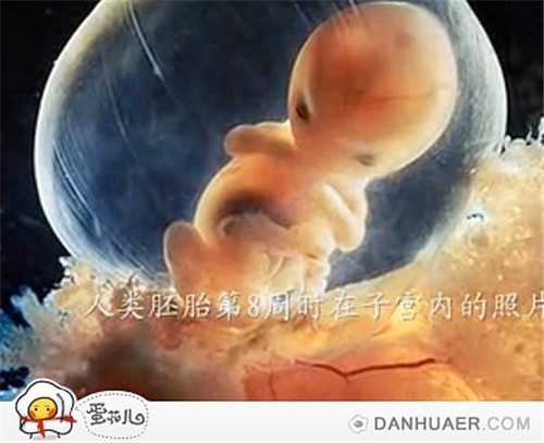武汉试管婴儿供卵子医院_武汉找单身女人代孕_宝贝计划助孕公司：孕妇怎么判
