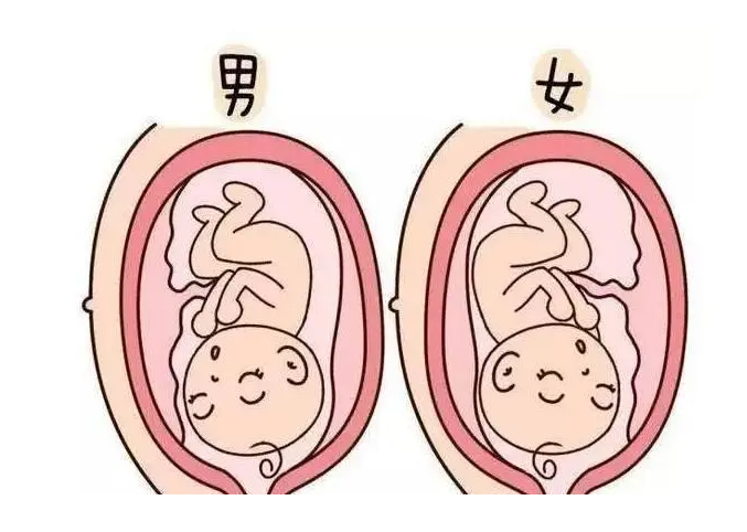 武汉供卵代生包儿子 武汉私立妇婴医院试管婴儿成功率 ‘b超胎囊三个数据看男