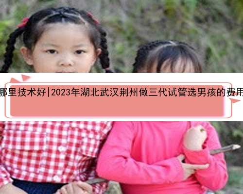 武汉代孕哪里技术好|2023年湖北武汉荆州做三代试管选男孩的费用是多少？